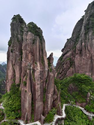 Sanqingshan | It's not Huangshan! But the sea of clouds and unique peaks are absolutely stunning