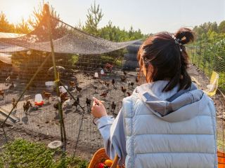 송간웨쥐｜북극 마을의 숲속 통나무집에 머물며, 북국의 고요함을 영화처럼 담다