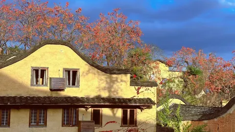 賞秋小眾地推薦一處紅柿林古村落 — traveler post in 寧德