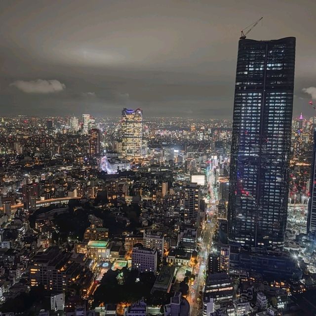 東京無敵夜景，登頂VIP級服務。