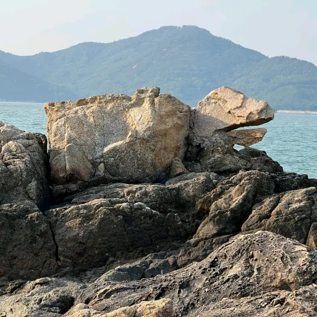 Peng Chau laid back half day trip with turtle rock, beauty and the sun