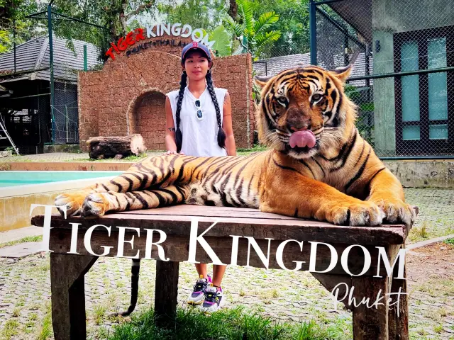 Tiger kingdom phuket 