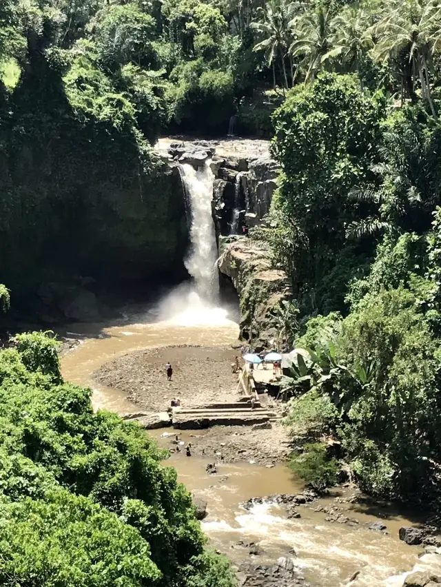 Swim at the Base of the Waterfall in Bali