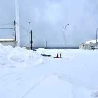 日本最北の黄金の湯が楽しめる天然温泉「利尻ふれあい温泉」
