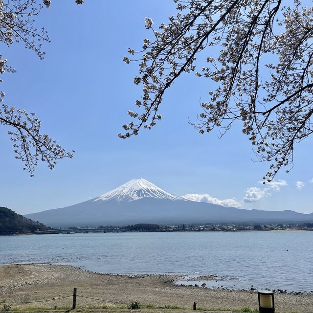 Heavenly beautiful lake with Mt Fuji view 
