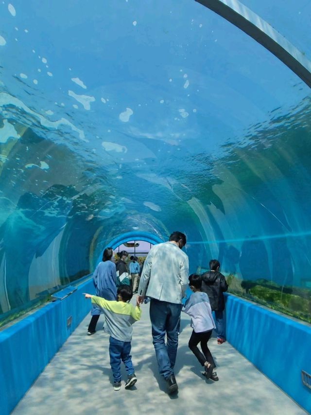 【石川・能登島】のとじま水族館