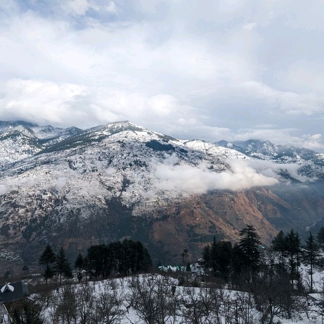 homestays in shimla