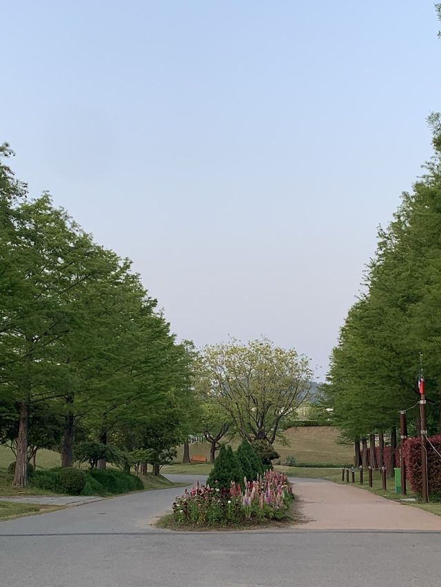 순천여행 필수코스 국제정원박람회가 열리고 있는 순천만공원