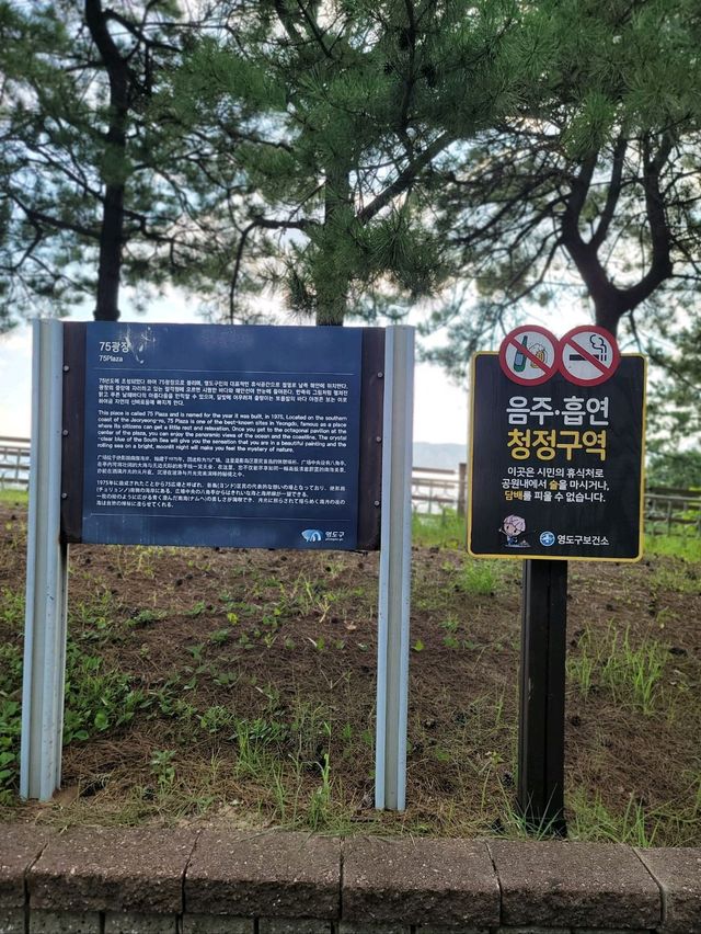 절영해안뷰 즐기기좋은 부산영도 75광장✨️