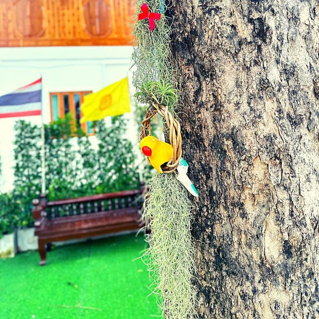 🙂ชุ่มช่ำกับวัดสักใหญ่