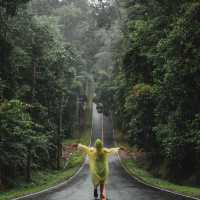 Road trip น้ำตกเหวนรก อุทยานแห่งชาติเขาใหญ่ 🍃⛈