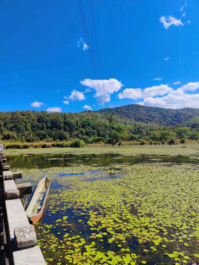  A beautiful Jain Temple in a Lake 😍