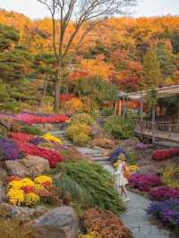 จุดชมใบไม้เปลี่ยนสี ที่สวยสุดในเกาหลี Hwadamsup