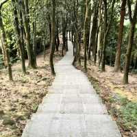 火爐山森林公園🌆大自然的悠閒遊樂場🌲🏞️🎉