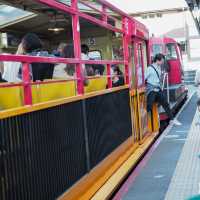 Arashiyama | Romantic train