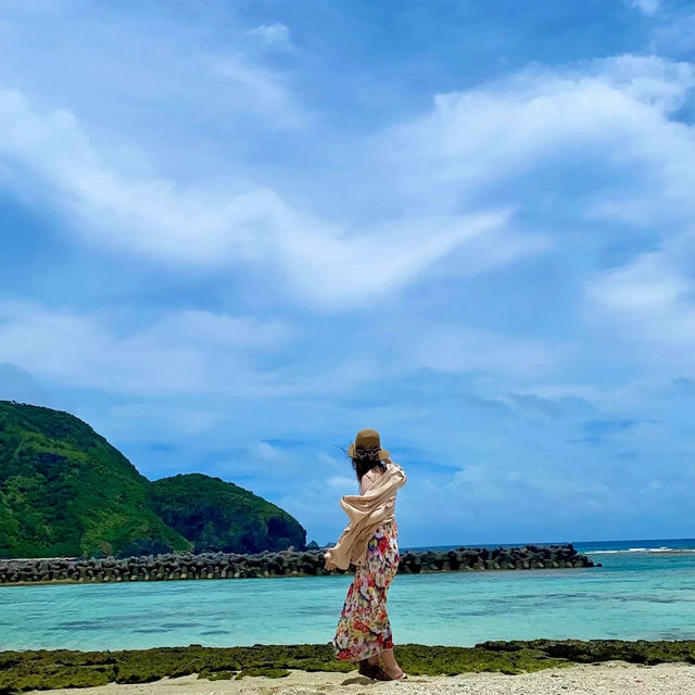 天然記念物のケラマジカ🦌に会える島🏝️