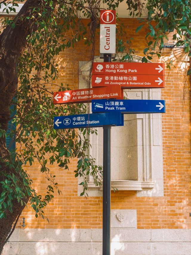 香港 | 中環鬧市裡的百年教堂⛪️