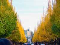 Autumn In Tokyo