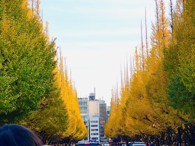 Autumn In Tokyo