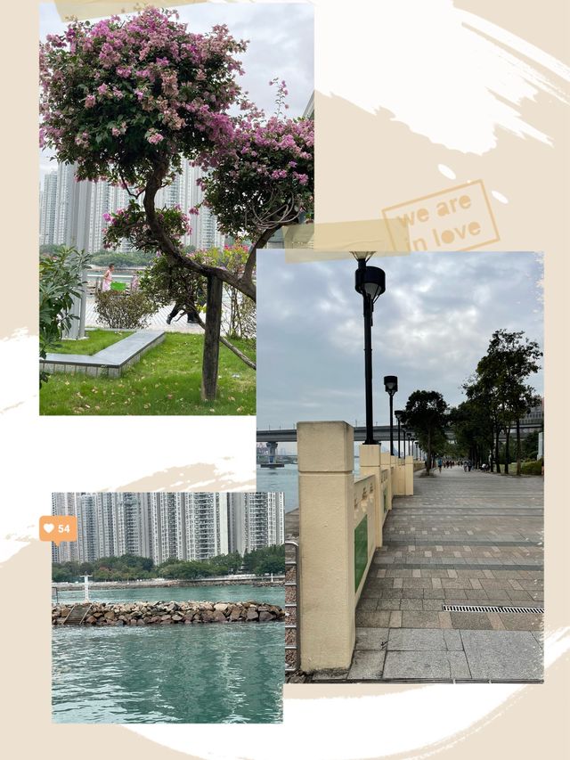 「青衣海濱長廊：舒適環境，適合散步和跑步」