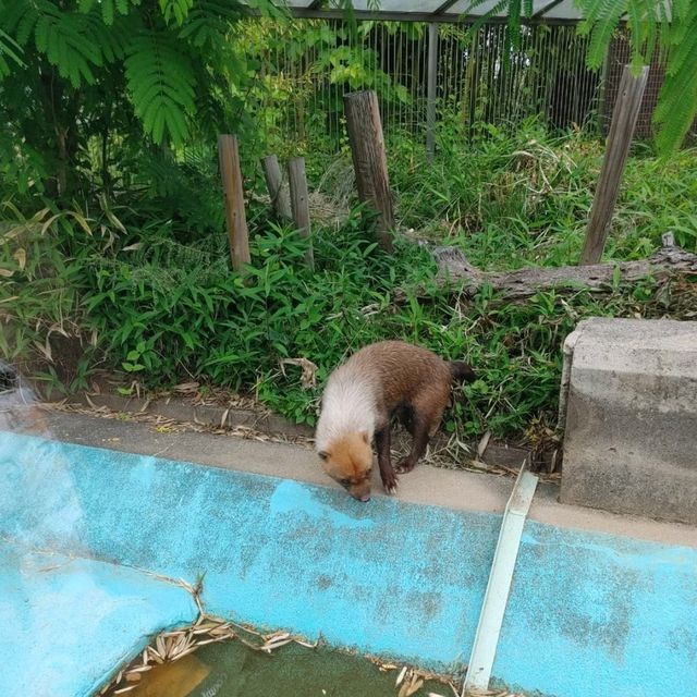1903年開業の歴史ある動物園