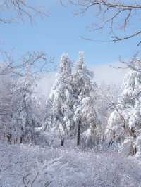 아름다운 눈꽃세상❄️