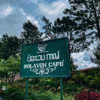 ที่ราบสูงโบลาเวน (Bolaven Plateua) อ่านต่อได้ที่ :