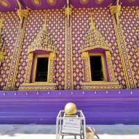 วัดบางจาก สายมูห้ามพลาด...🙏🙏🙏