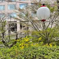 グランドプリンスホテル高輪の日本庭園でお花見