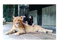 สวนสัตว์หัวหิน ซาฟารี