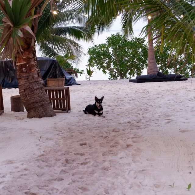 【カンボジアの秘境】ロン島
