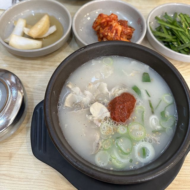 ˗ˏˋ ザ ジングク　더 진국   ˎˊ˗