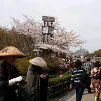 京都地標清水寺