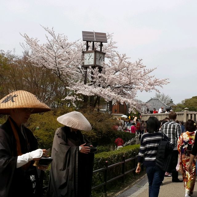 京都地標清水寺