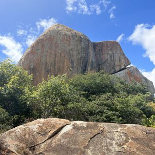 อิกังไอรอนกา