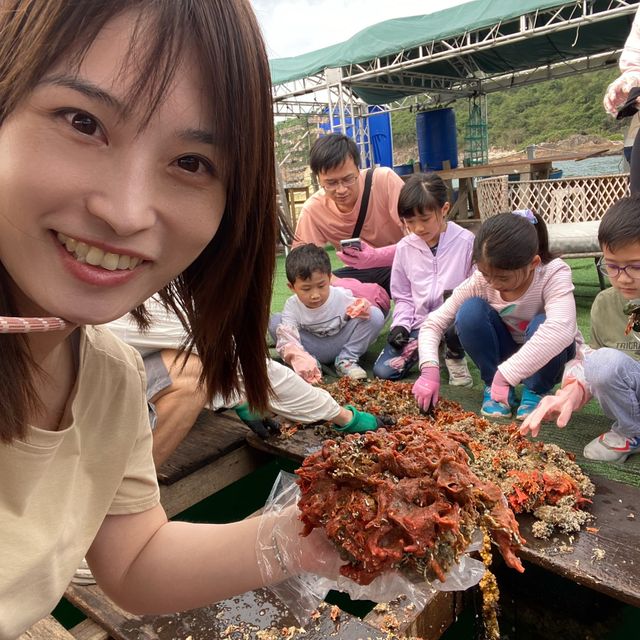 本地海排 x 珍珠養殖場 🐚  本地海排 x 珍珠養殖場 🐚