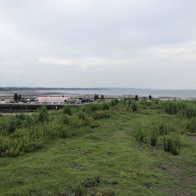 望海步道草地區