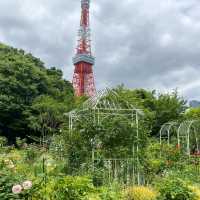 一年四季都有唔同花睇嘅芝公園