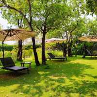 • Livist Resort Phetchabun 🛖🌳✨