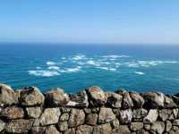 뉴질랜드의 최북단 Cape Reinga