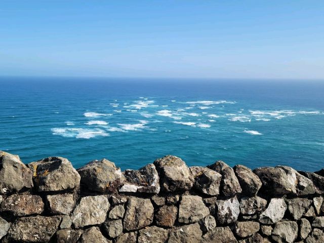 뉴질랜드의 최북단 Cape Reinga