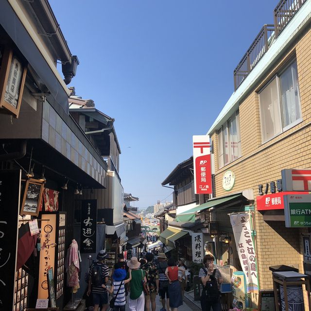 도쿄 근교 가마쿠라&에노시마 여행✨
