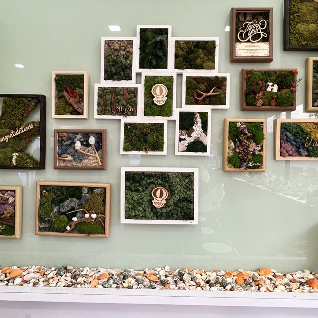 ☘️ Therapeutic Time with Terrarium in SG 🌿