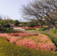 Fascinating Fukuoka: A Colorful Journey of Flowers and Food
