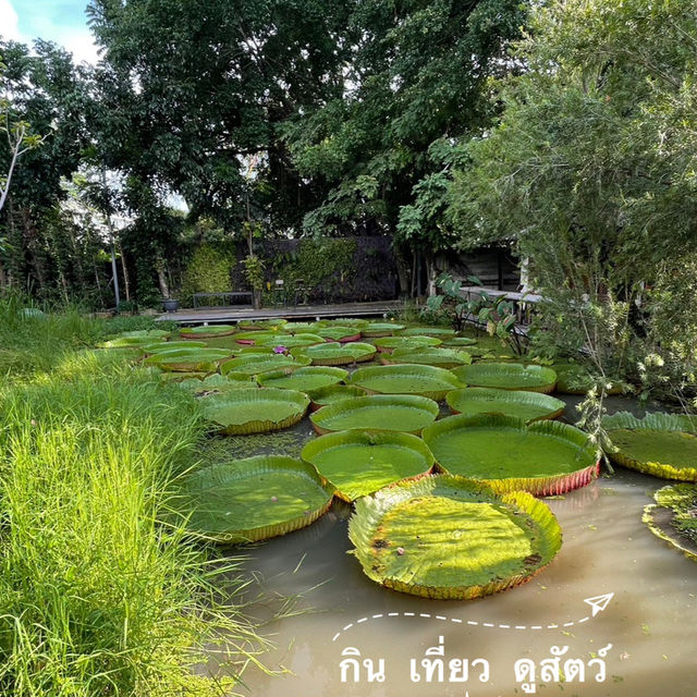 ทัวส์ สายชิวกิน เที่ยวดู สัตว์