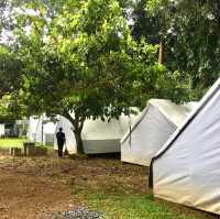 The Resort in the middle of the Jungle