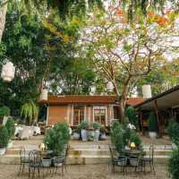 Cafe bar Restaurants