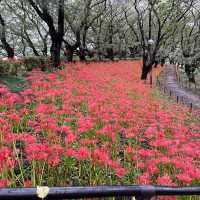 耀現堂公園 埼玉県