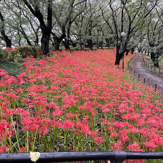 耀現堂公園 埼玉県