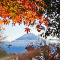 Autumn at Kawaguchiko